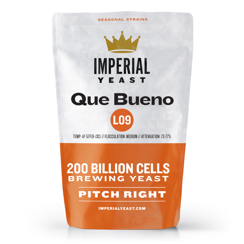 L09 Que Bueno Retail